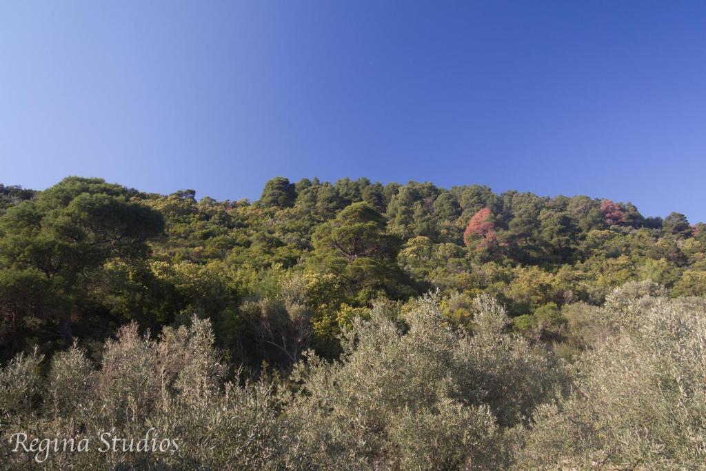 Skalopati Studios & Villa Panormos  エクステリア 写真