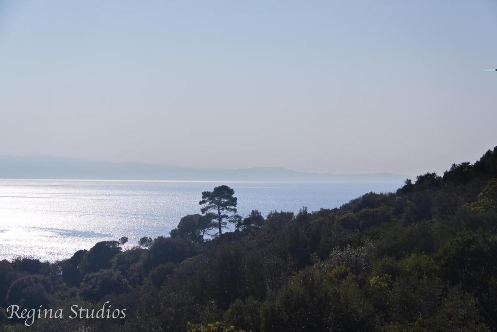 Skalopati Studios & Villa Panormos  エクステリア 写真